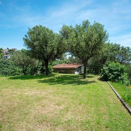 Zafferano Villa