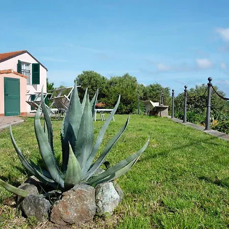 Zafferano * Celle Ligure