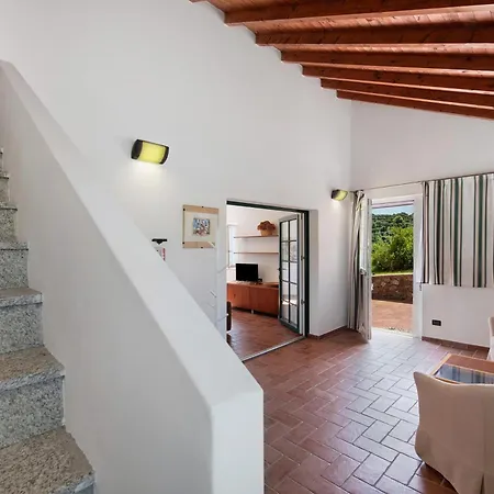 Zafferano *